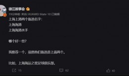 上港记者爆料新闻,揭秘球队最新动态与幕后故事