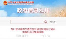 竹山农香最新爆料新闻视频,最新爆料视频深度解析